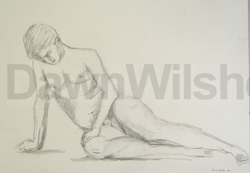 Male Study